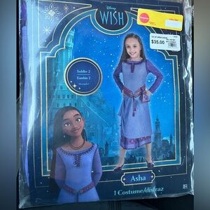 Disney Halloween Costume